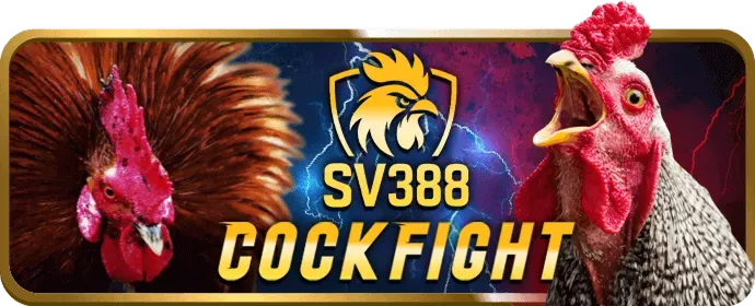 Baccarat trực tuyến sodo666
